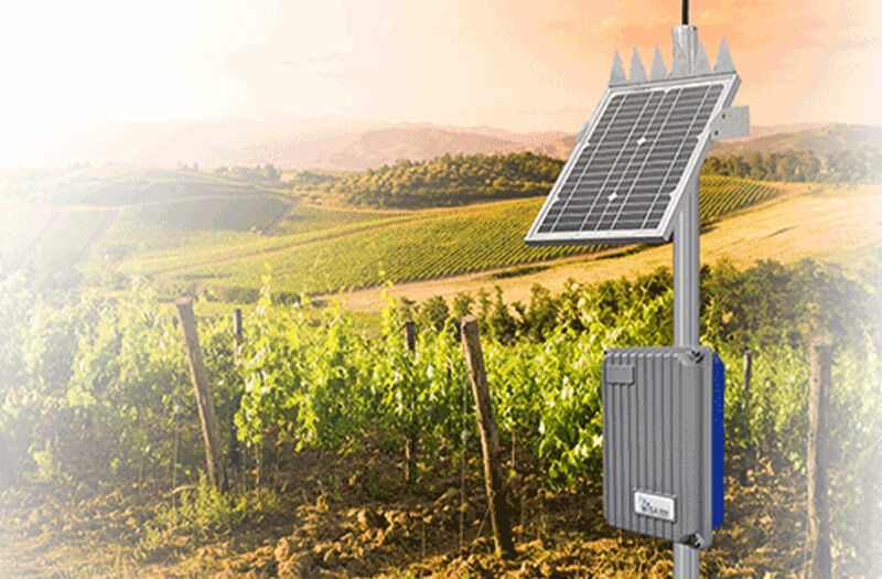 Viticulture - WiSA farm and irrigation automation