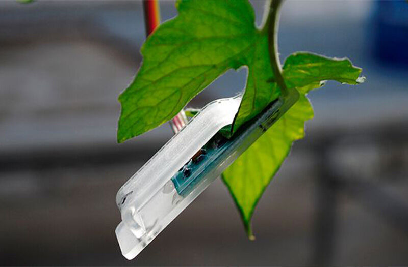 Wisa Leaf Sensor Wisa Leaf Sensor