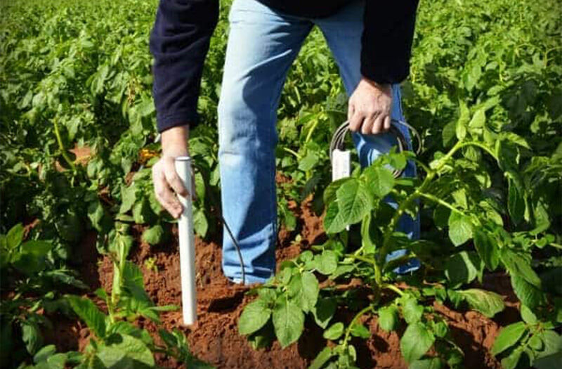 Wisa Soil Moisture Probe