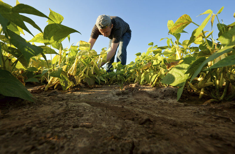 Advanced Soil Monitoring